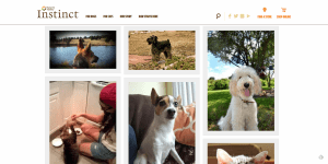 Instinct Pet Food